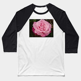 Rose Flower Pink Two Tone Baseball T-Shirt